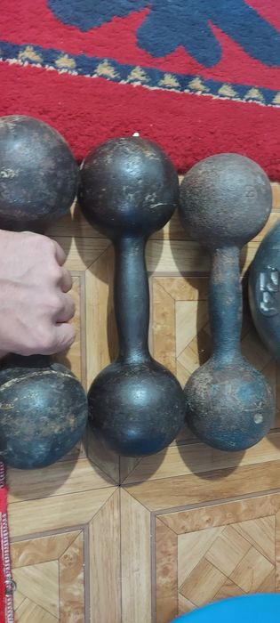 Прадам Гиры,Гонтели,с доставкой