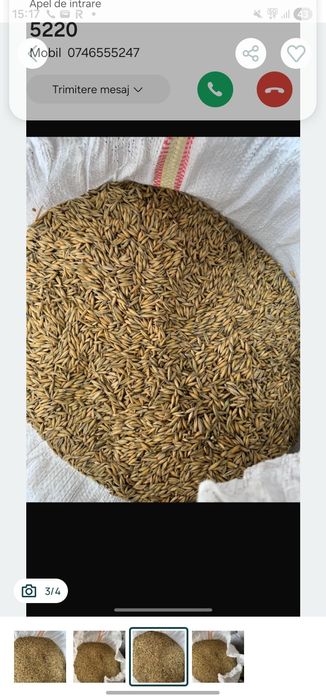 Vând ovăz calitate bună