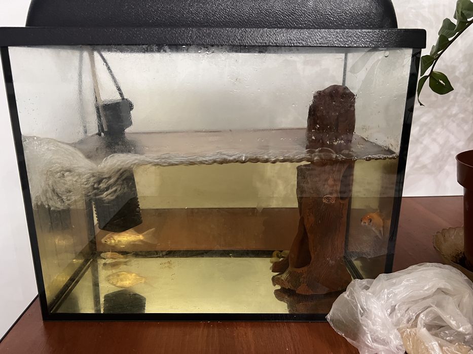 Аквариум сатылады