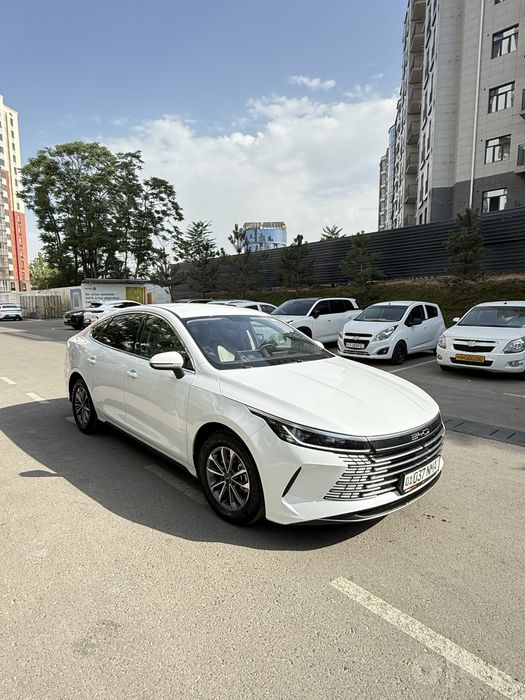 BYD CHAZOR 2024 55km