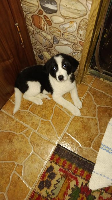 Только в ответственные руки!