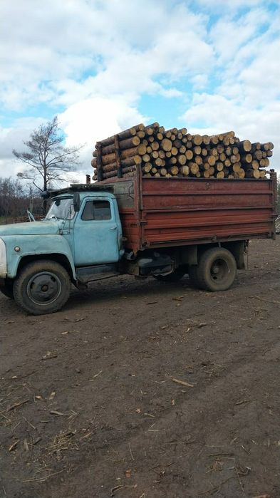 Дрова 2х метровые