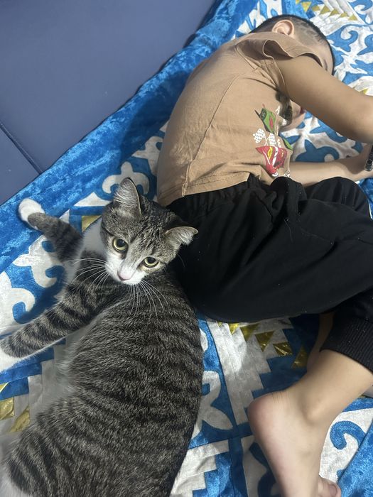 Отдам в хорошие руки