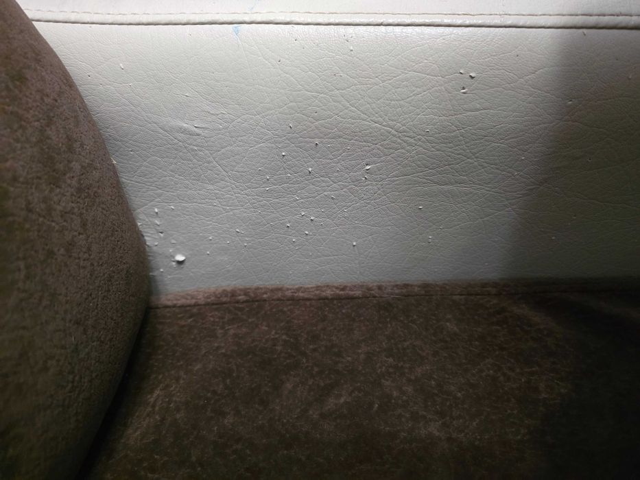 Подарявам холен диван