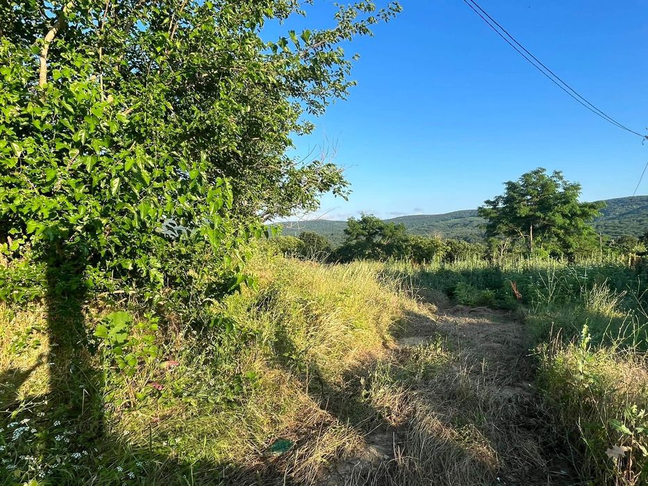 Поземлен имот в регулация