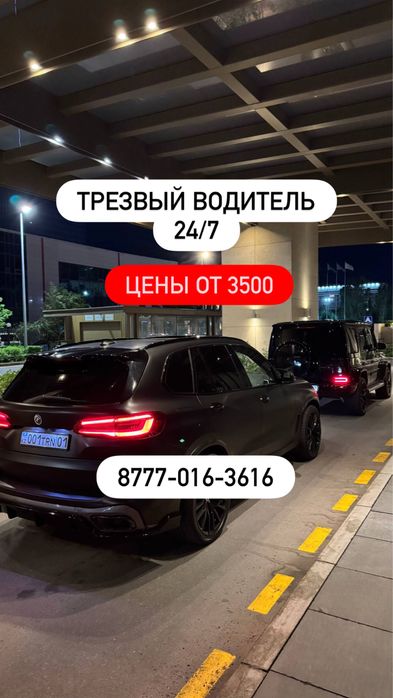 Трезвый водитель