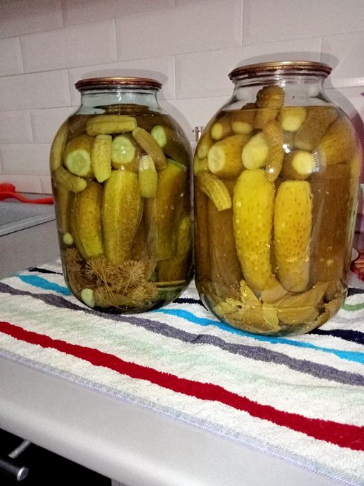 Продам солёные огурцы