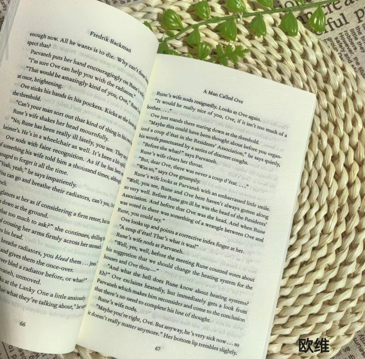 A man who called Ove