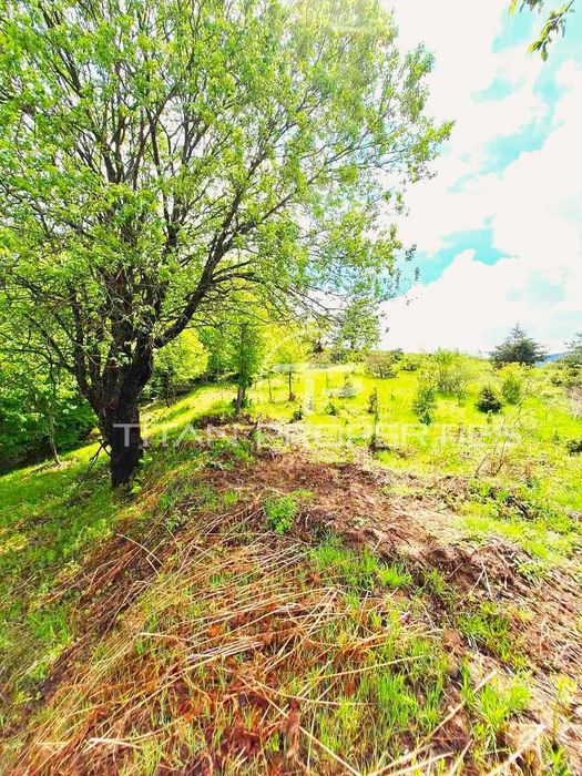 Продава се Парцел в Асеновград - 4700 кв.м за 24 €/кв.м - Снимка #4