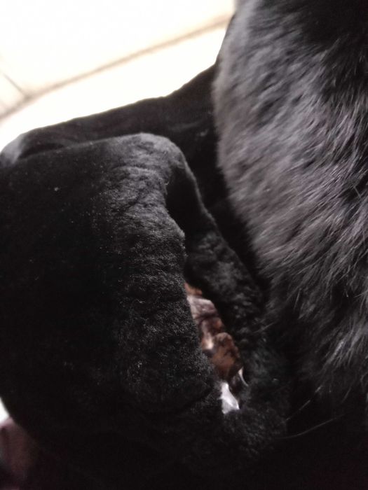 шубы натуральные