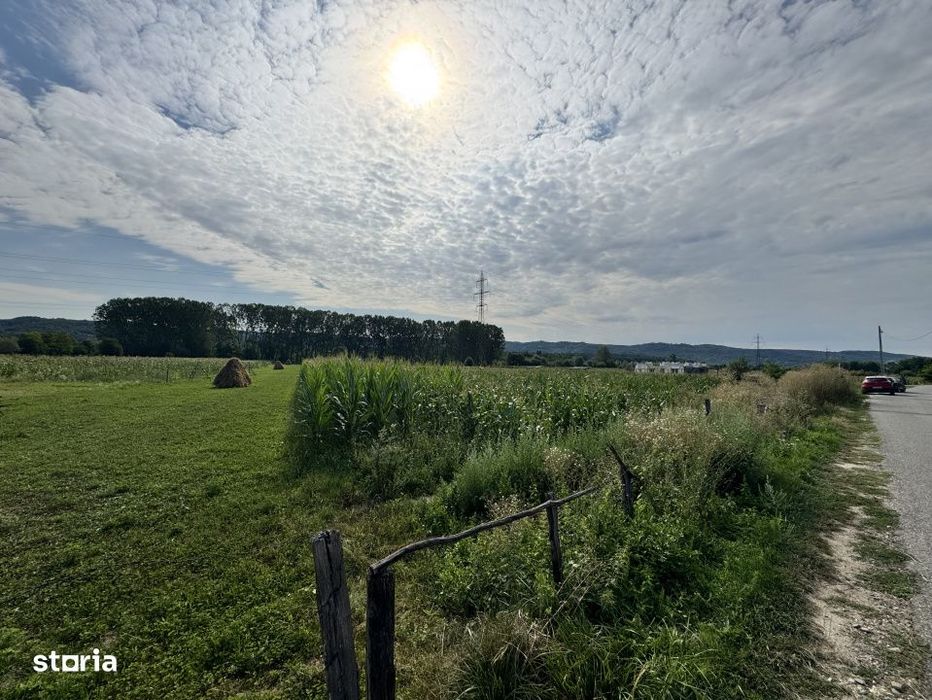 Teren 7.500 mp Valea Bradului – Utilitati, Rau, Ideal Investitie