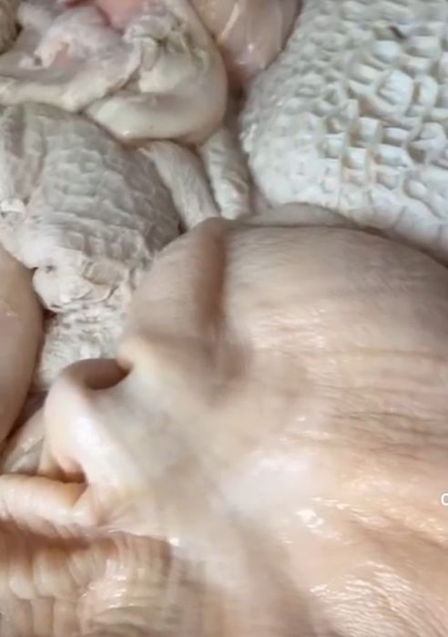 Требуха чищенная