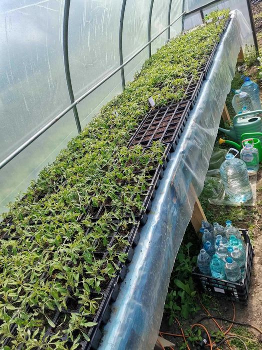 Икономично eл. отопление за разсад, парник , разсадник ,оранжерия !