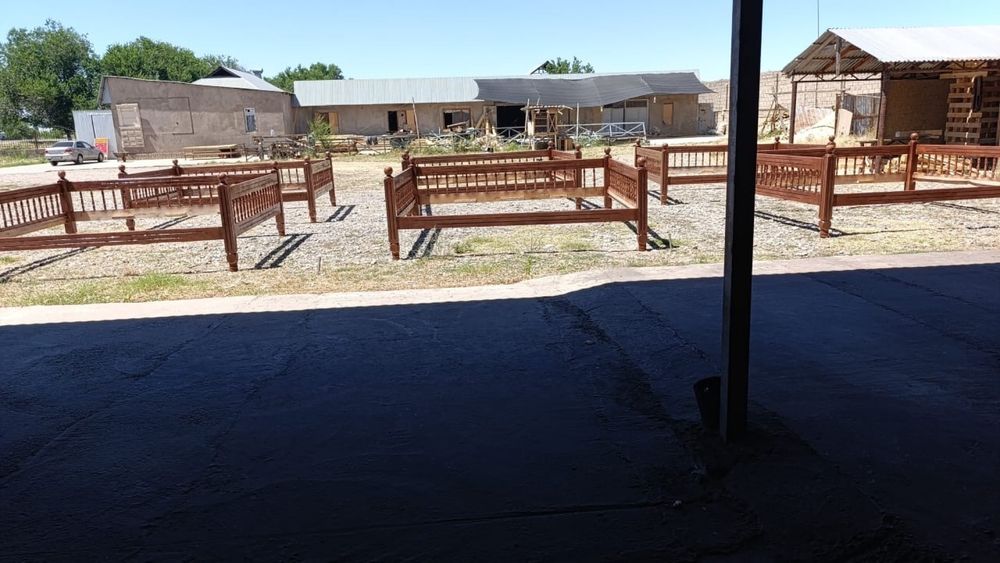 Тапчан тапшандар