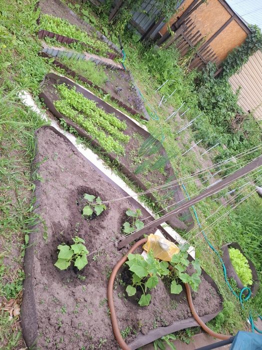 Дача 131, гор водоканал