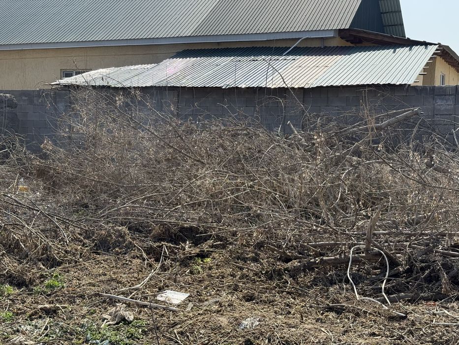 Бесплатно дрова Тегін Отын