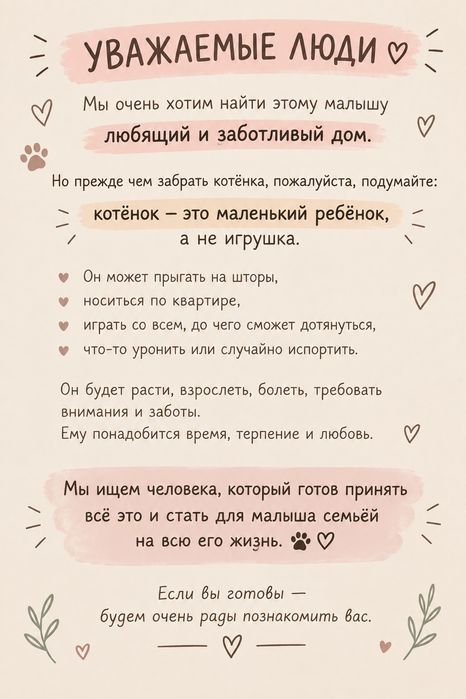 Котёнок мальчик.  В добрые руки