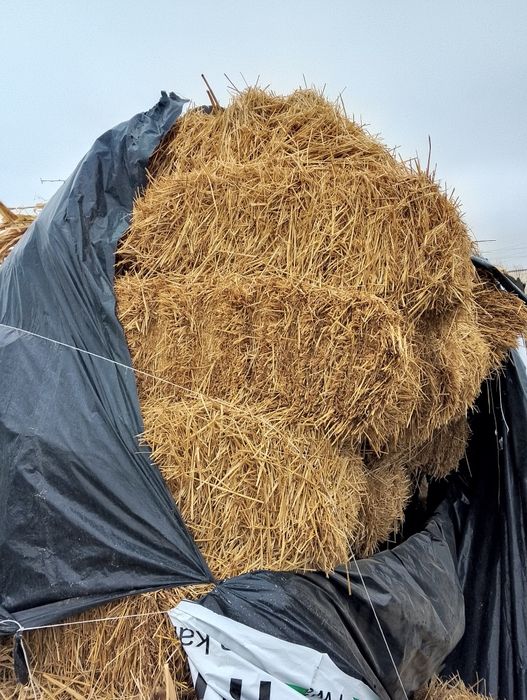Самон пресс сотилади срочно
