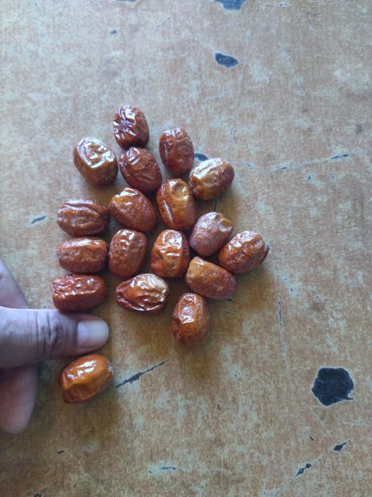 Кошет Букарски жиде.