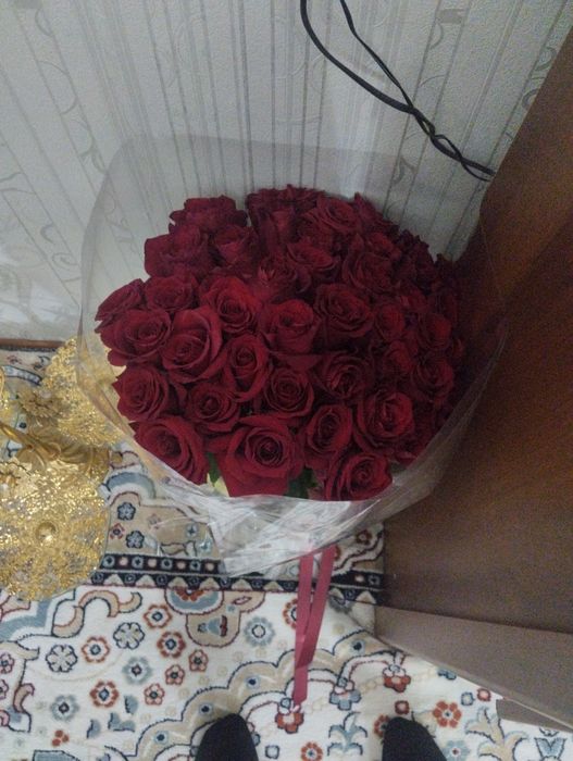 Продам цветы свежие