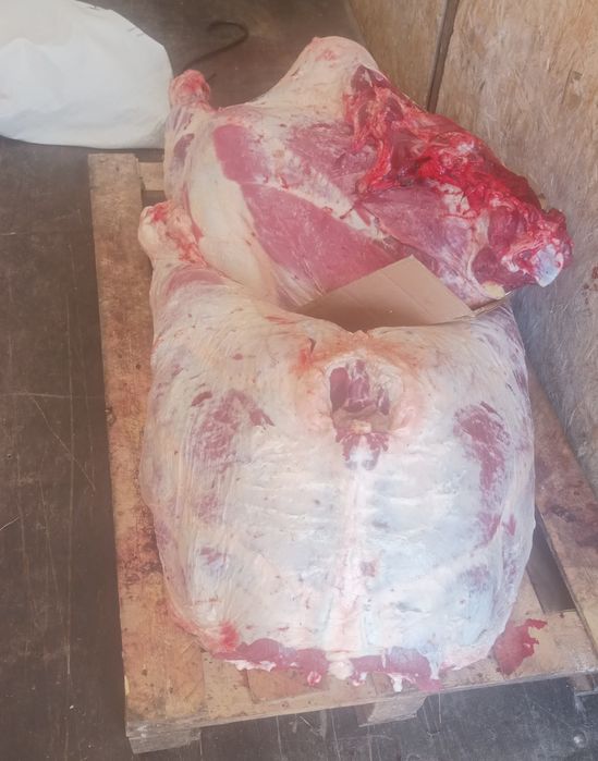 Говядина мясо молодняк