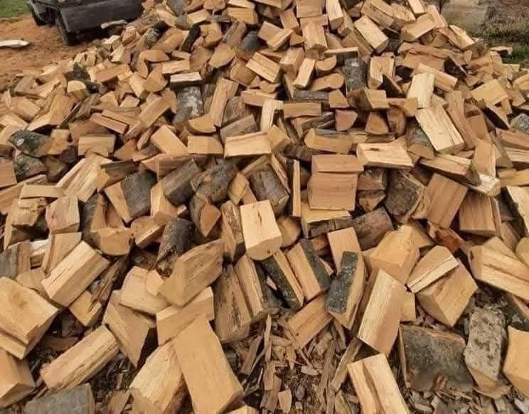 Продавам нарязани и нацепени Букови и Дъбови Дърва .
