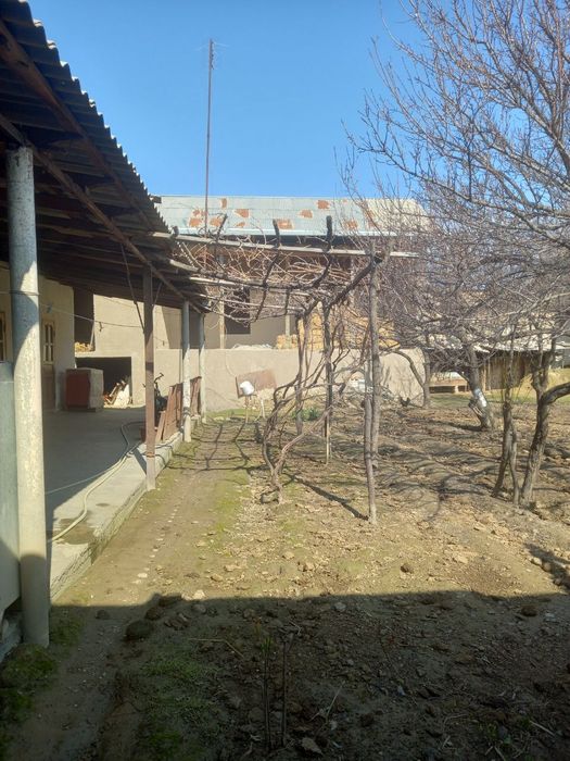 Shahrisabz markazidan xovli