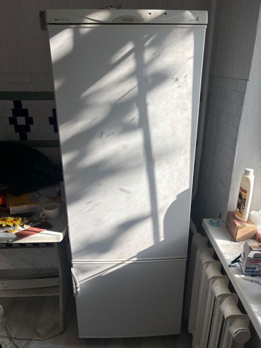 Холодильник snaige