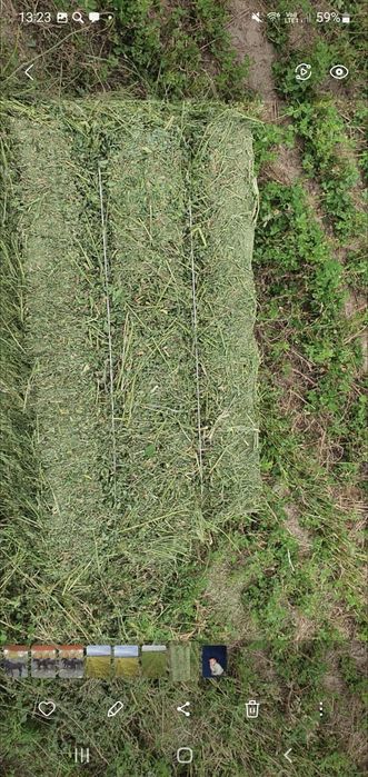 Продам люцерну,урожай 2025