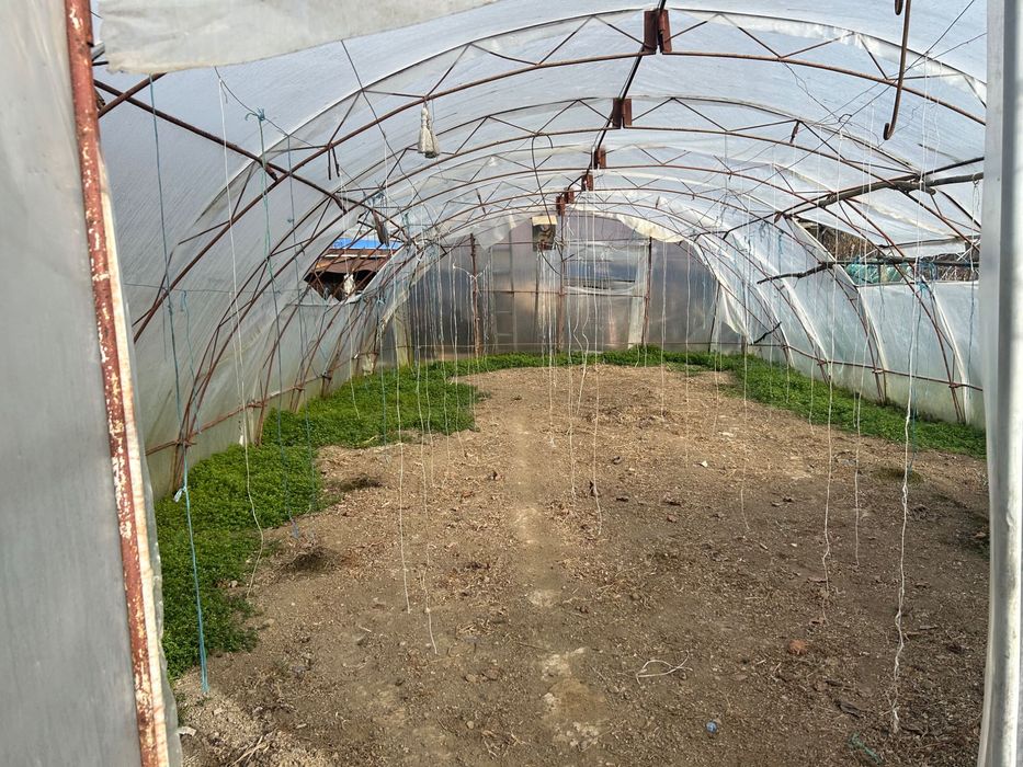 Оранжерия-Парник