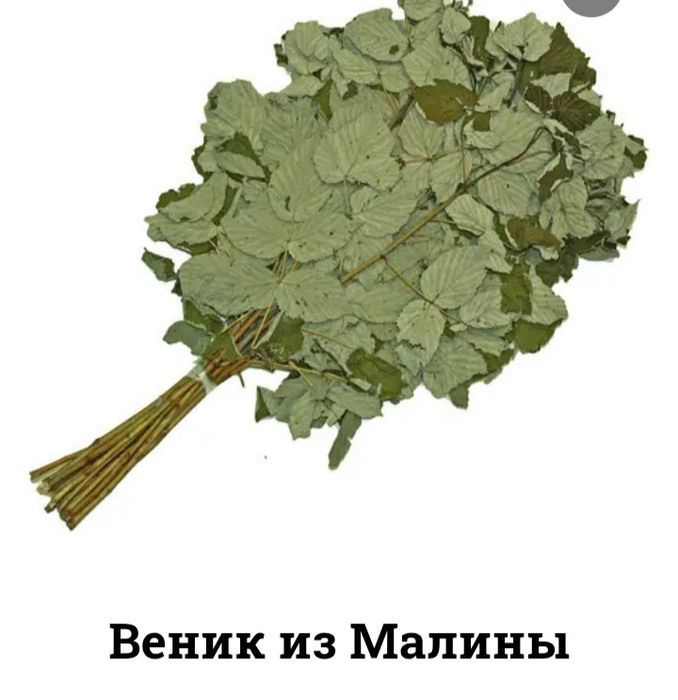 Продам веники малиновый