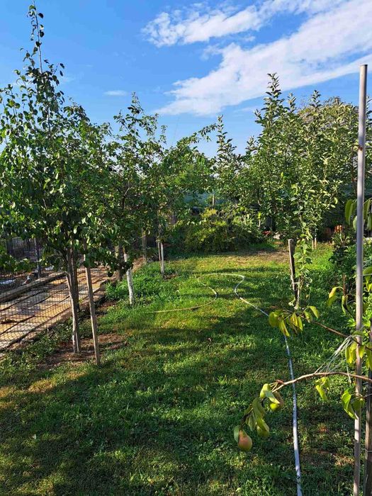 Продава се Парцел в с. Окоп, Област Ямбол - 1250 кв.м за 52 €/кв.м - Снимка #16