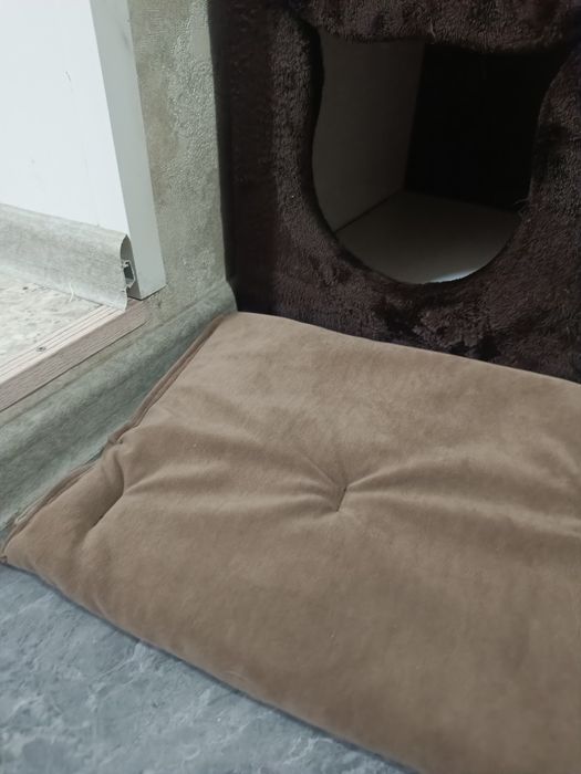 Домик для кошек, котов