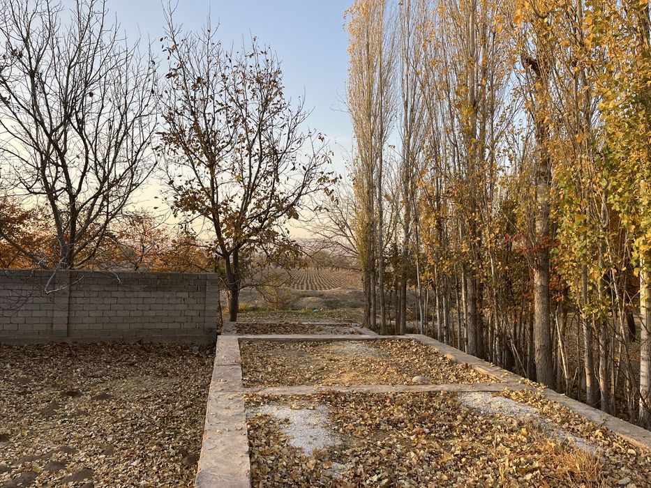 10 сотокли ховли. Бустонлиқ тумани Янгиовул махалласида.