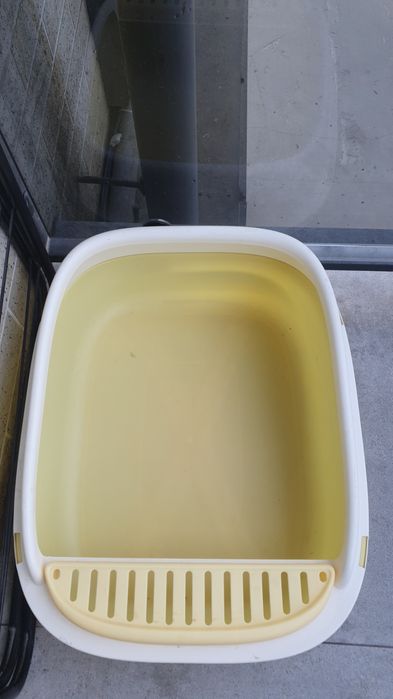 Лоток мушук ишкибозлари учун