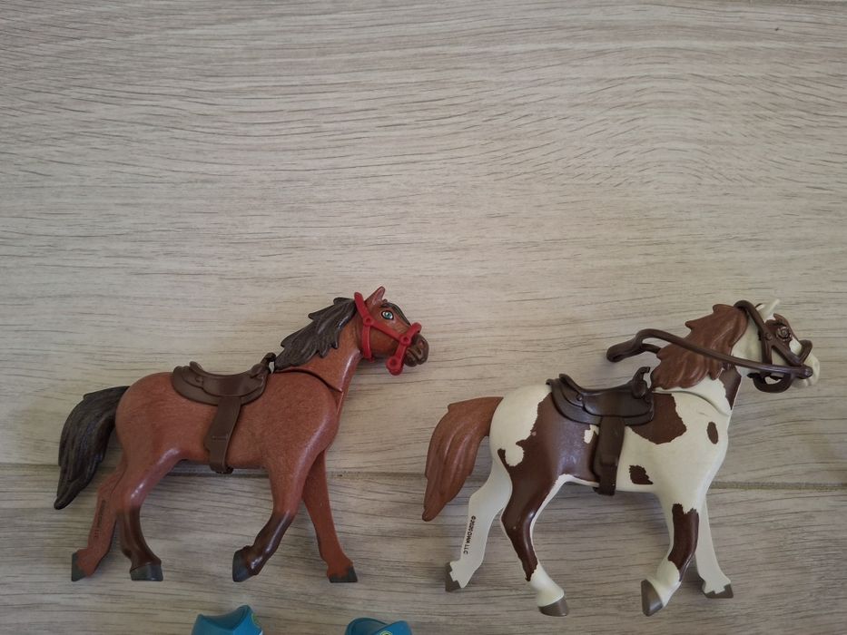 Set Playmobil Spirit 70331