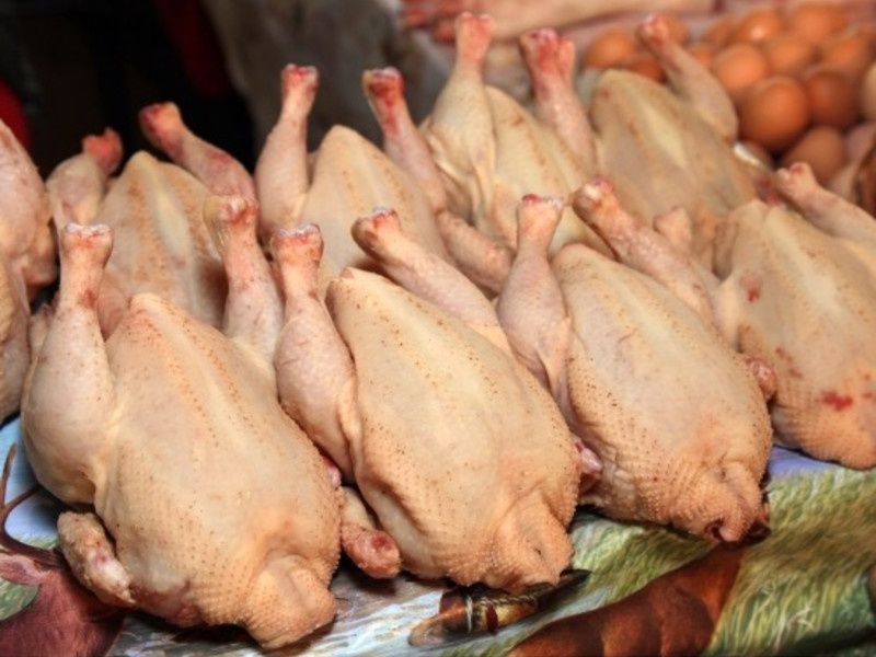 Мясо утки бройлера фото Мясо утки бройлера фото