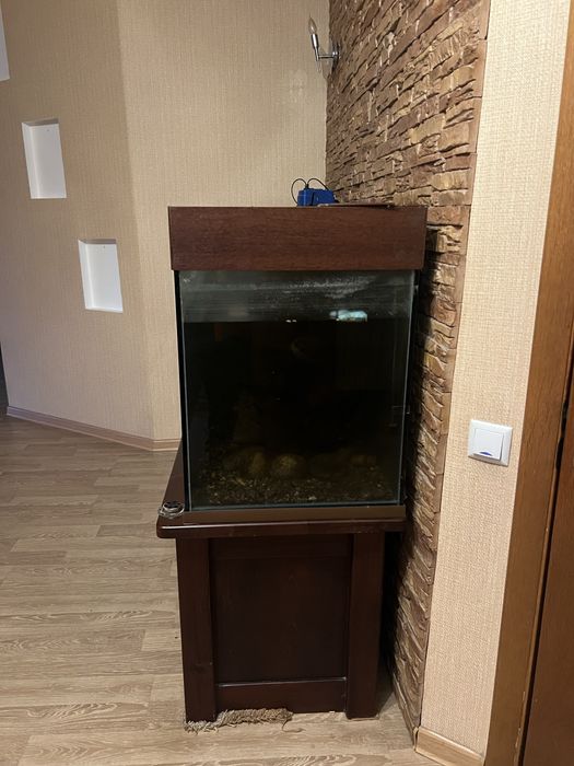 Продам Аквариум с рабками