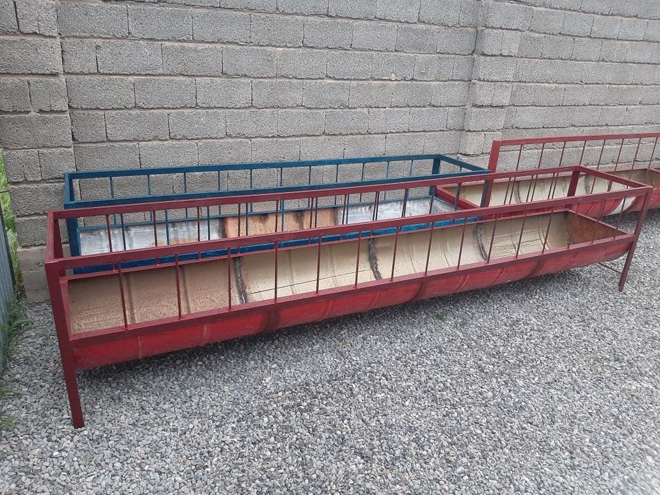 Ақыр. Науа. Карита. Астау.