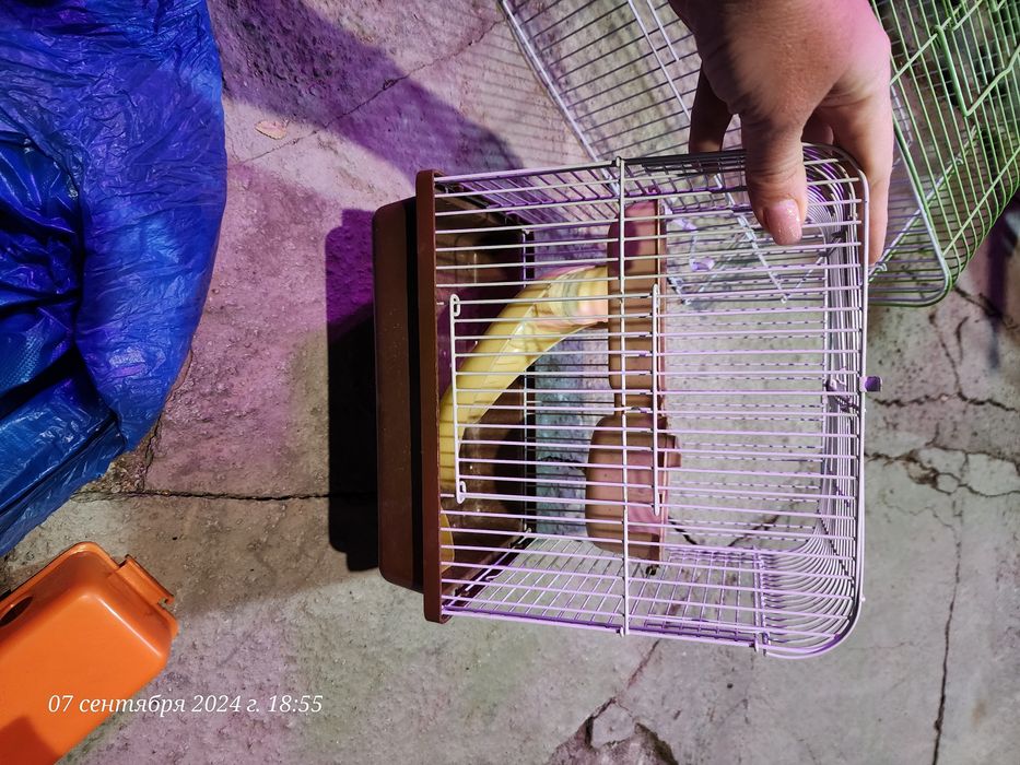 Клетка для мелких грызунов