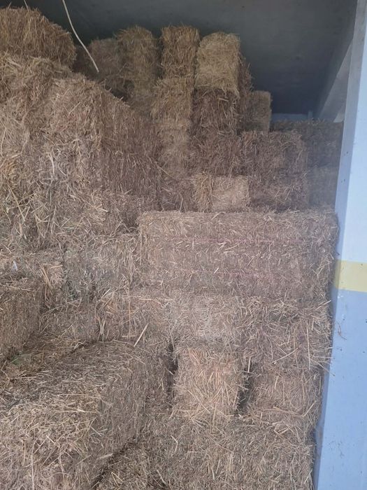 Люцерна доставка на място