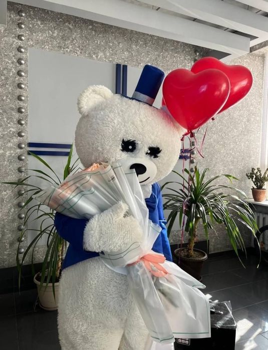 Мишка Тедди прокат