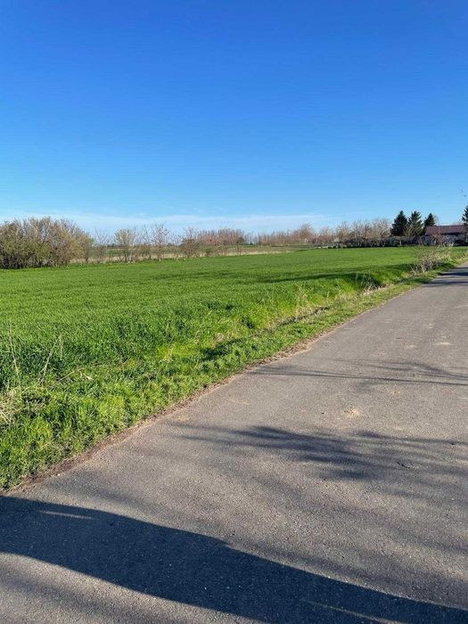 teren intravilan de vânzare 1500mp în Vișini
