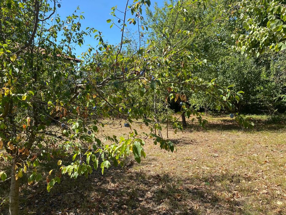 Продава се Къща в с. Туркинча, Област Габрово - 155 кв.м за 336 €/кв.м - Снимка #5