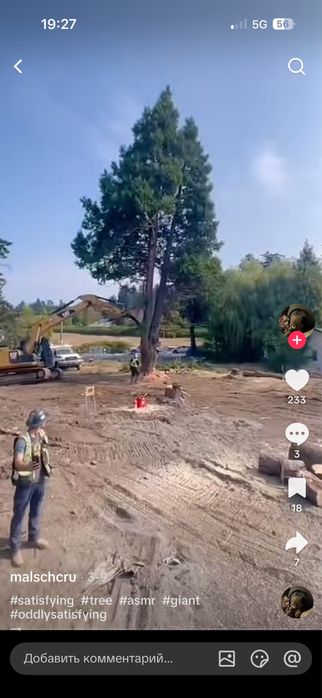 пилим дерева быстро не дорога