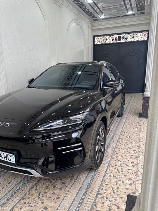 Byd champion restayling 605 full