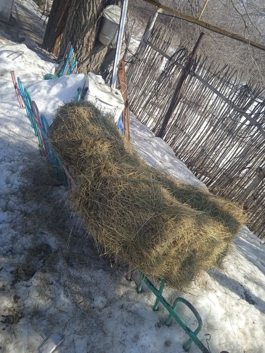 Тюк шөп бар доставкамен