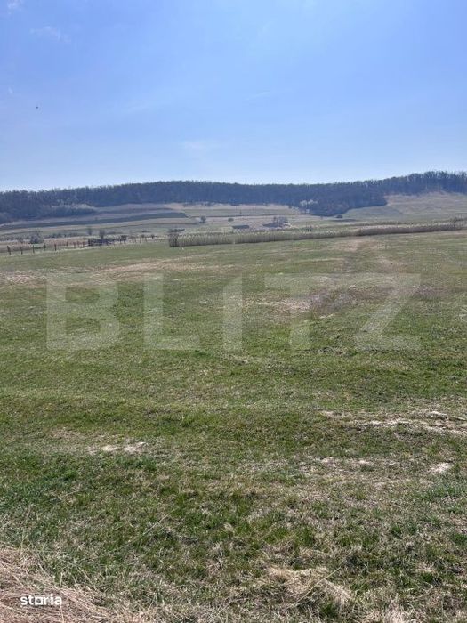 Teren intravilan de vanzare – 1900 ari, la Cepari