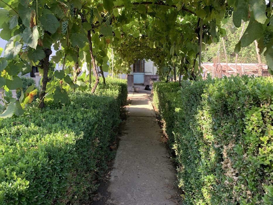 Casa de neratat in Dolj