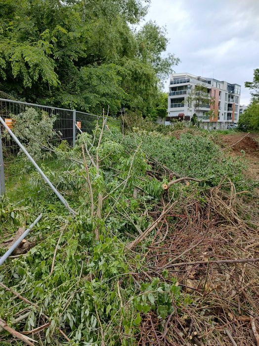 Рязане на Опасни дървета  чистене на дворове и парцели